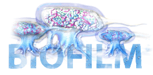 Biofilm
